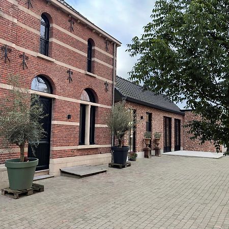 Bed and Breakfast De Wilden Ezel Mol Zewnętrze zdjęcie