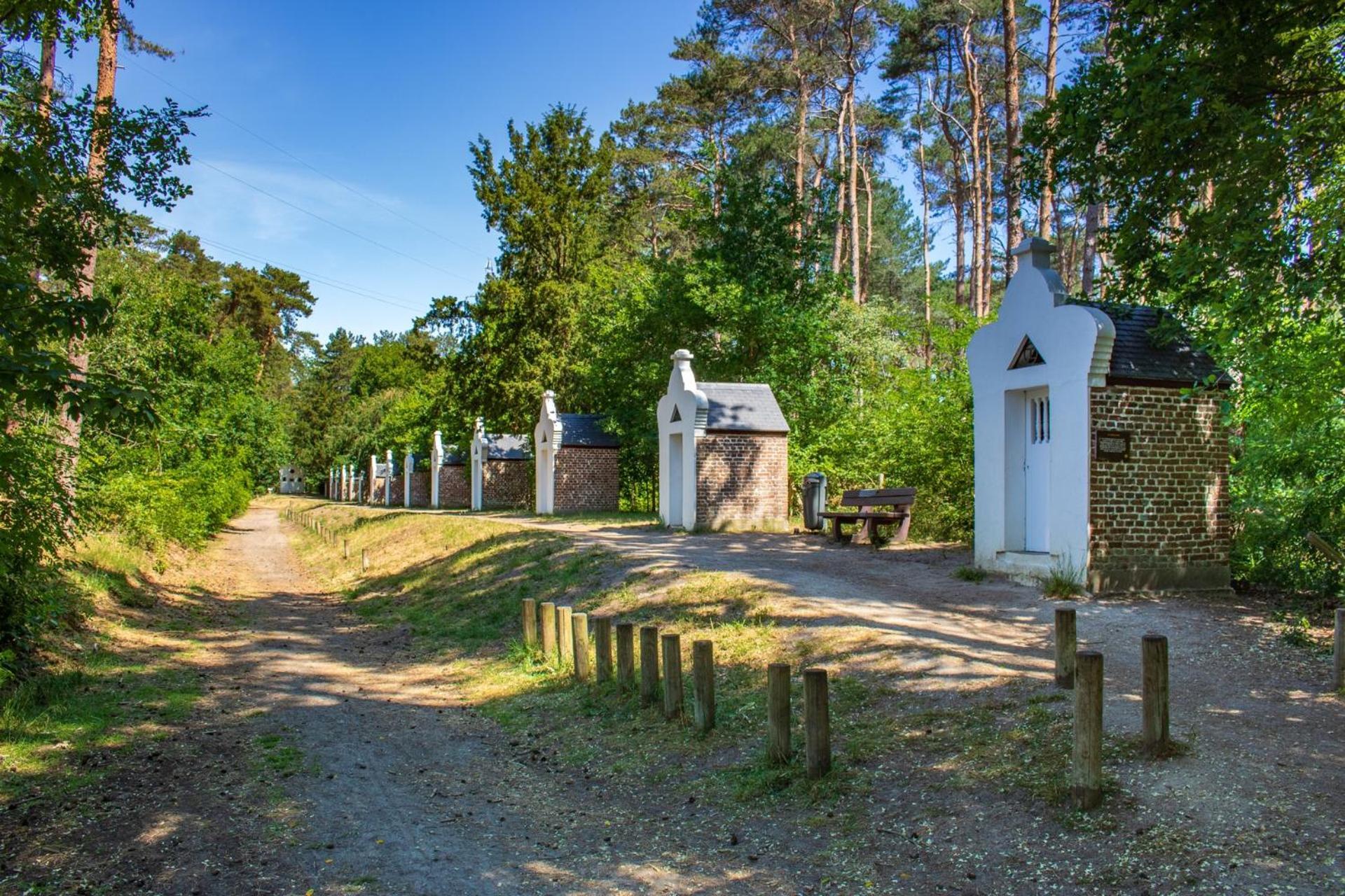 Bed and Breakfast De Wilden Ezel Mol Zewnętrze zdjęcie
