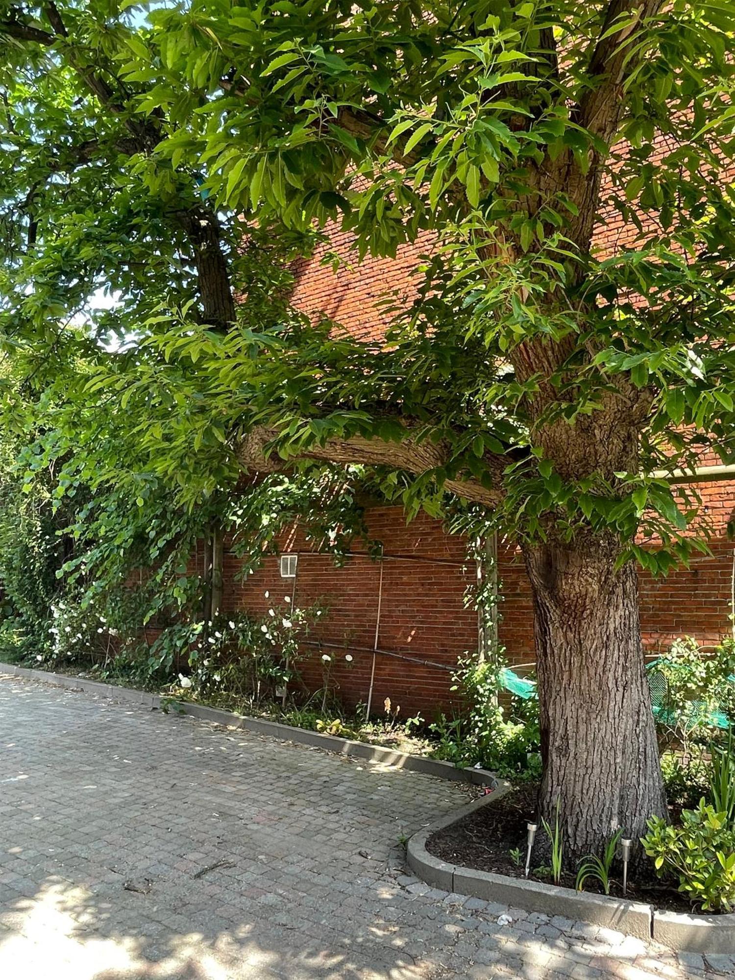 Bed and Breakfast De Wilden Ezel Mol Zewnętrze zdjęcie